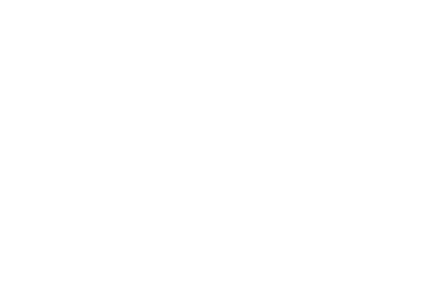 SIROTJULES Logo